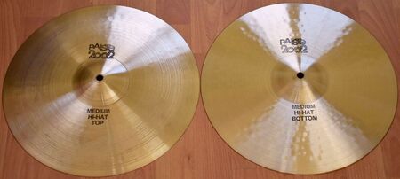 Paiste 2002 14